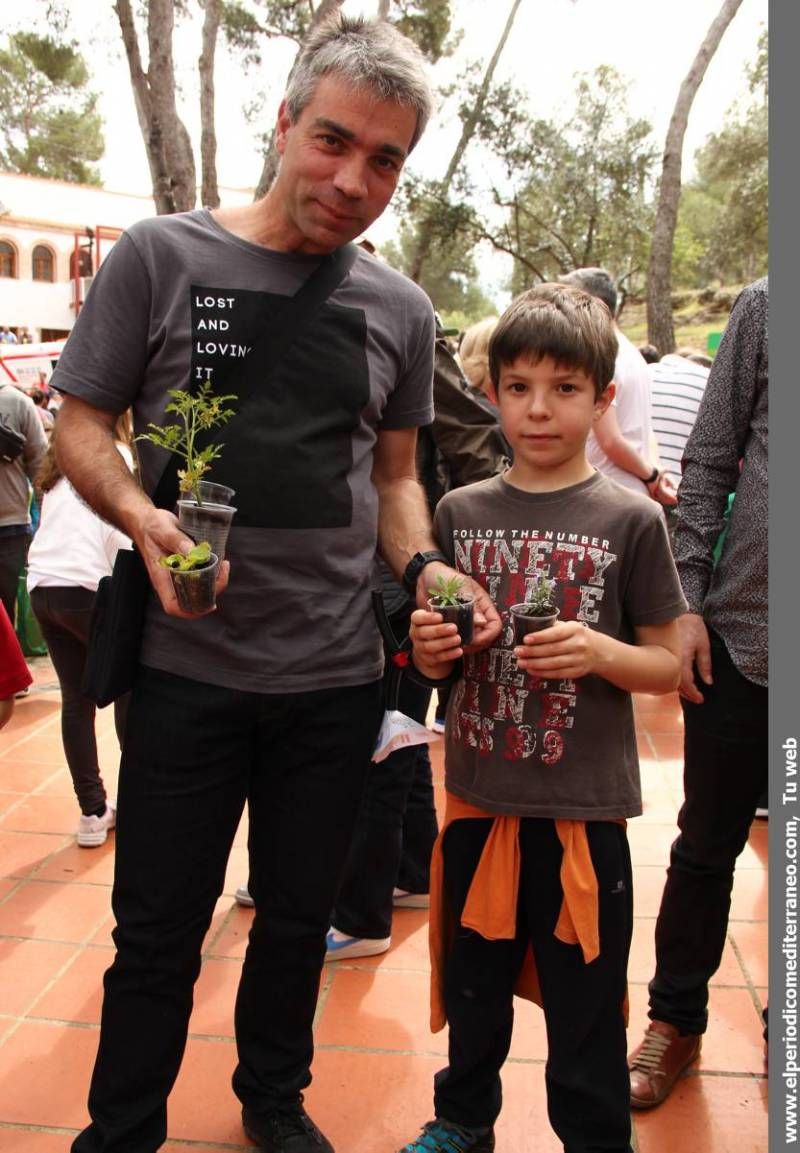 GALERIA FOTOS -- Masiva Festa per la Llengua