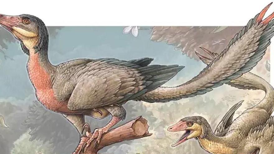 Identifican en Argentina una nueva especie de dinosaurio pequeño y con alas  - La Opinión de A Coruña