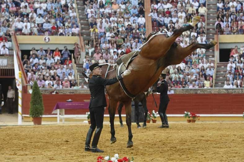 Los mejores jinetes de Europa se citan en Los Califas