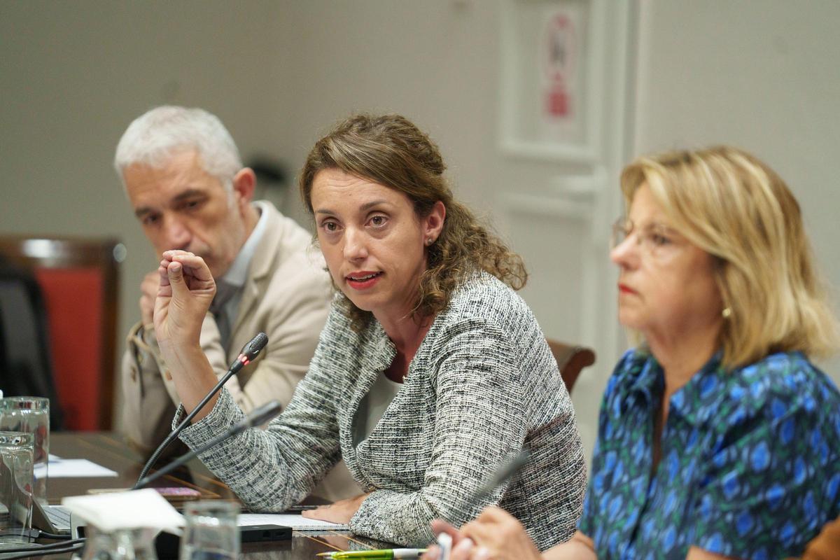 La doctora en Psicología Miriam Álvarez (c) durante su intervención en la comisión.