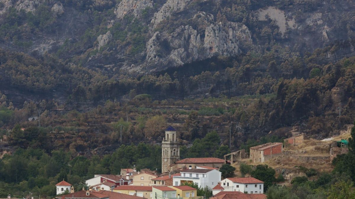 Las consecuencias del incendio de Bejís en Teresa
