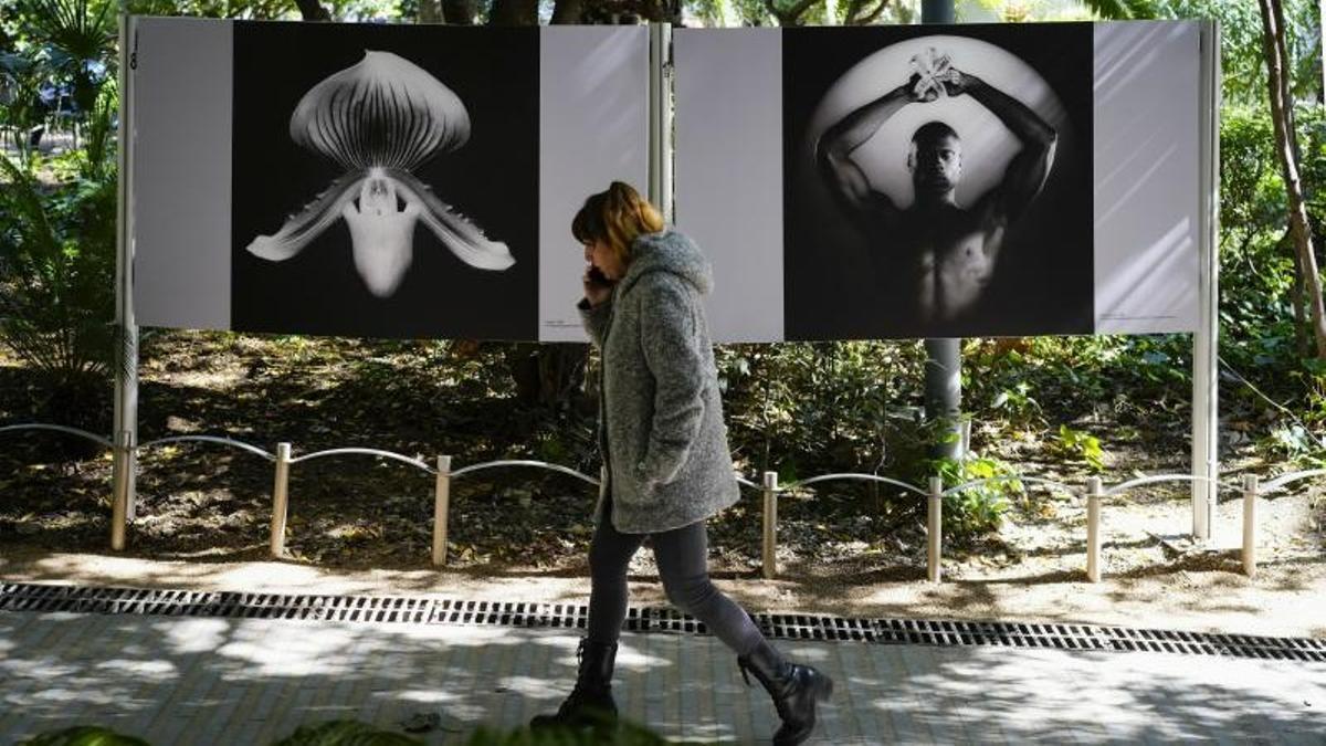 Els jardins del Palau Robert de Barcelona reobren després de lluitar contra una plaga de rates