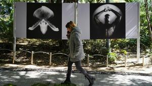 Robert Mapplethorpe en el Palau Robert de Barcelona