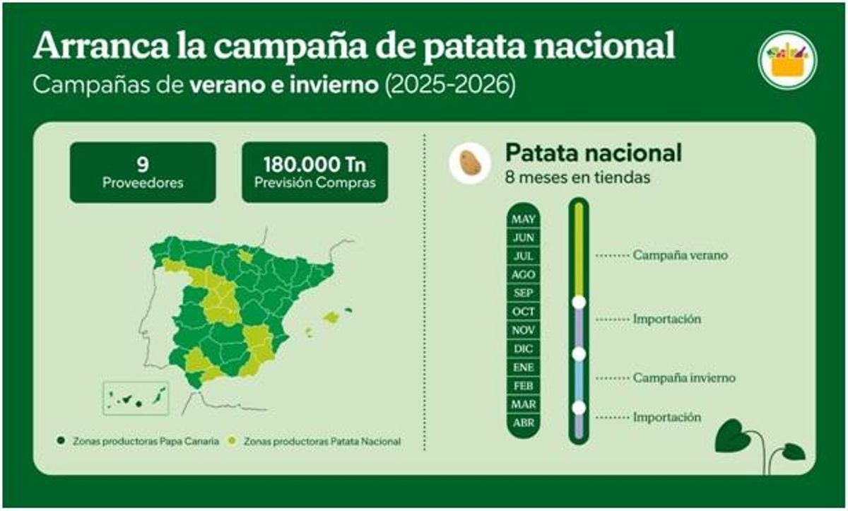 Cuadro. Arranca la campaña de patata nacional.