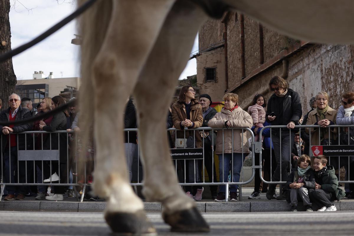 Els Tres Tombs de Sant Andreu de Palomar