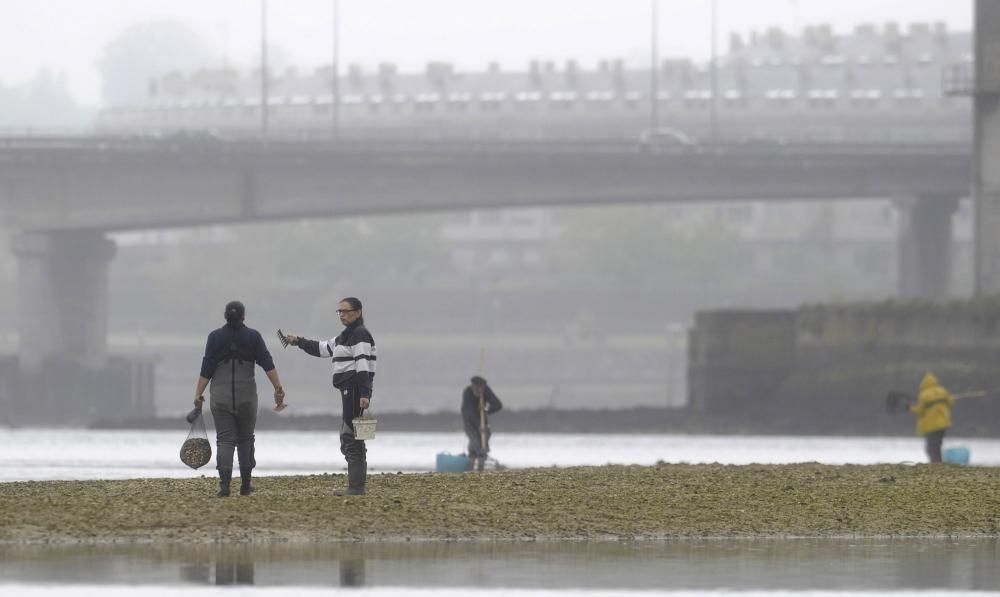 Reapertura de la ría tras permanecer inoperativa por la detección de un exceso de combustible en el agua.