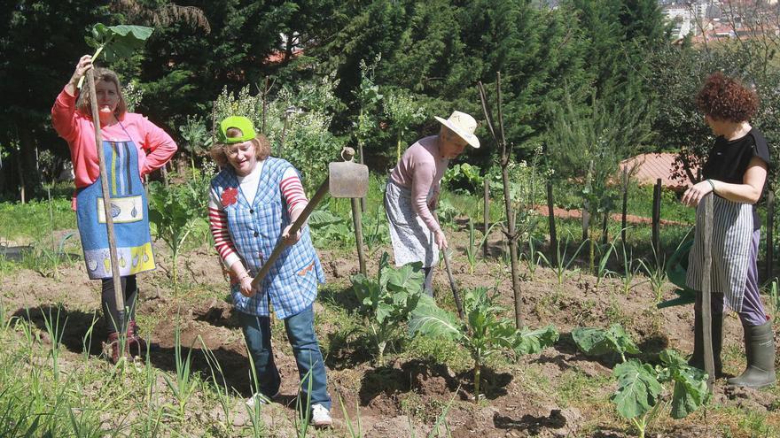 Cuatro mujeres en una huerta en la ciudad de Ourense, durante la jornada de ayer. |   // IÑAKI OSORIO