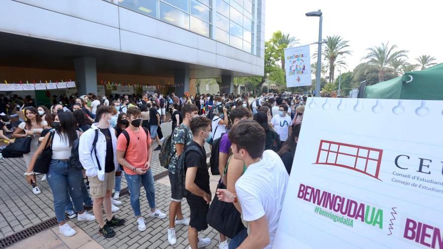 Con ganas de volver a clase: La rectora de Alicante celebra la vuelta a la presencialidad en la feria de bienvenida al nuevo alumnado