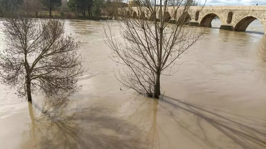 El caudal del Duero se dispara en Zamora y alcanza los 1.000 metros cúbicos por segundo