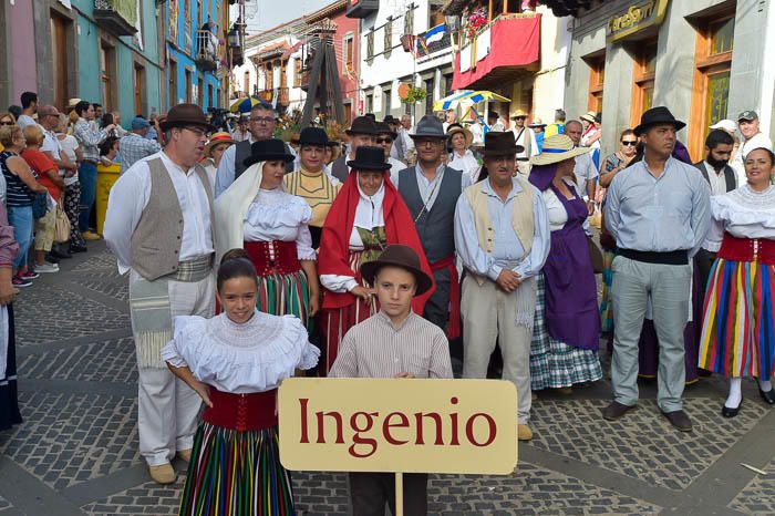 Carretas y grupos en la romería del Pino