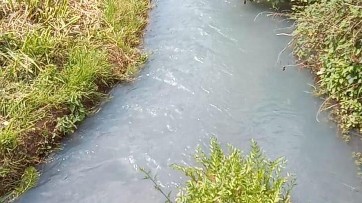 El Nalón, contaminado.