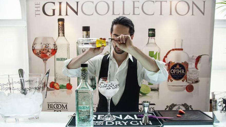 The Gin Collection Contest