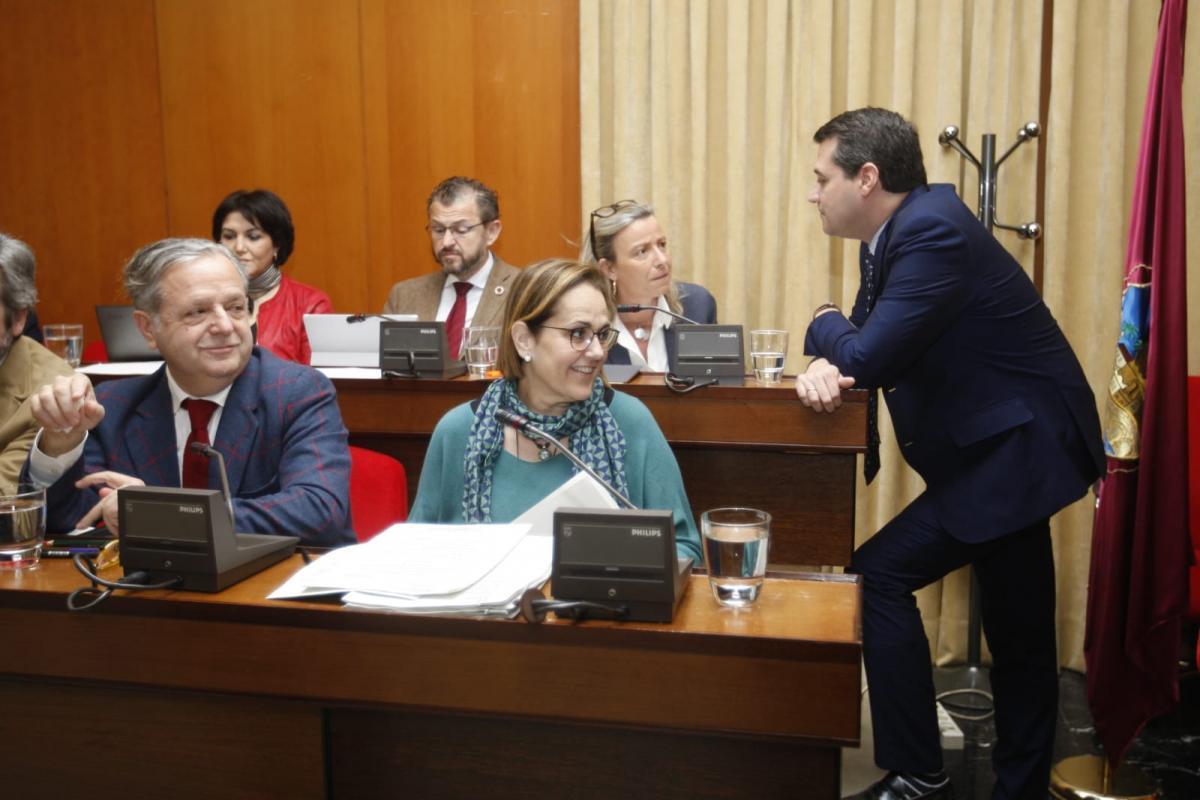 El Pleno no apoya oficialmente las movilizaciones del 8M en Córdoba