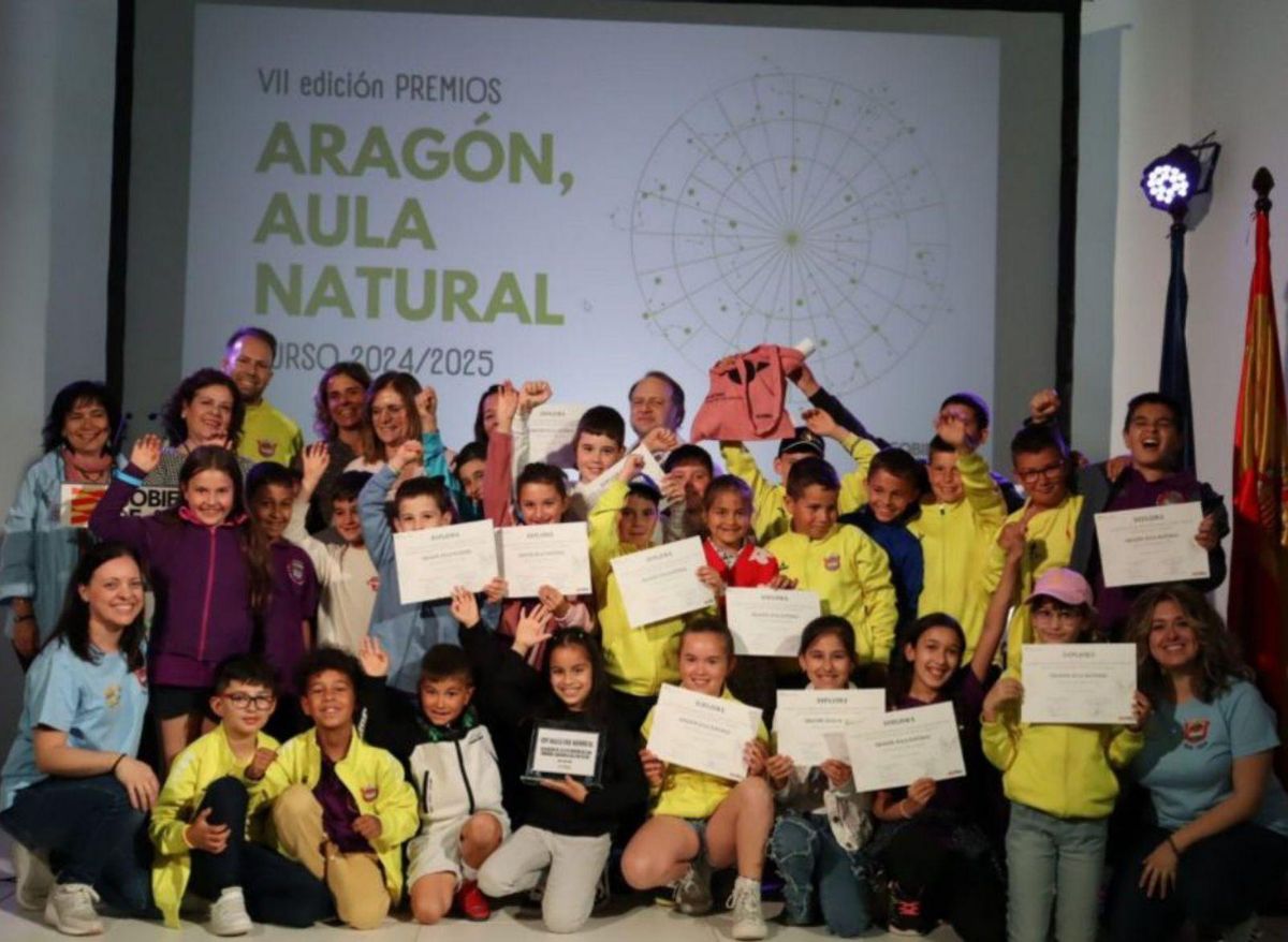Los alumnos de Primaria cautivaron al jurado el pasado 22 de mayo. | SERVICIO ESPECIAL