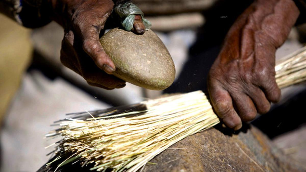 Un andí peruà utilitza una herba local per fer una corda que s’usarà per a la reconstrucció del pont suspès Qeswachaka de 36 metres.