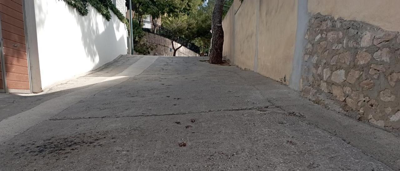 Último tramo de la calle Axarquía, con las huellas caninas.