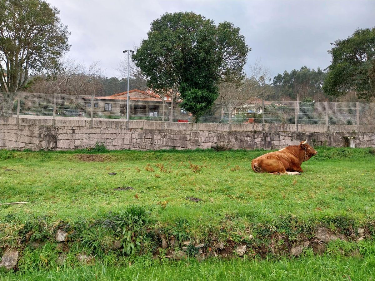 El recinto está situado por debajo de la Casa da Aldea de Meiro.