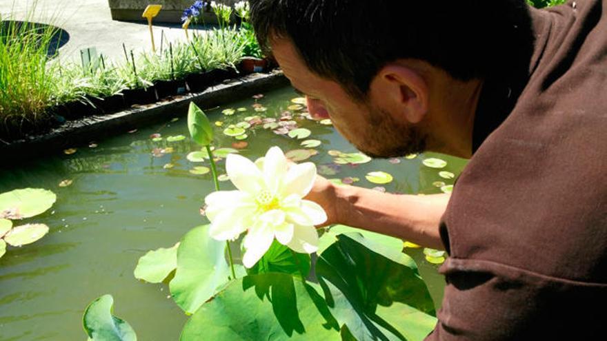 Weiss muestra la flor de loto que floreció ayer. // FdeV