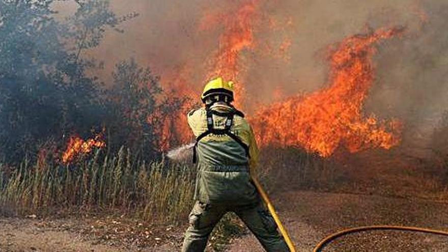 Un bomber lluita contra el foc