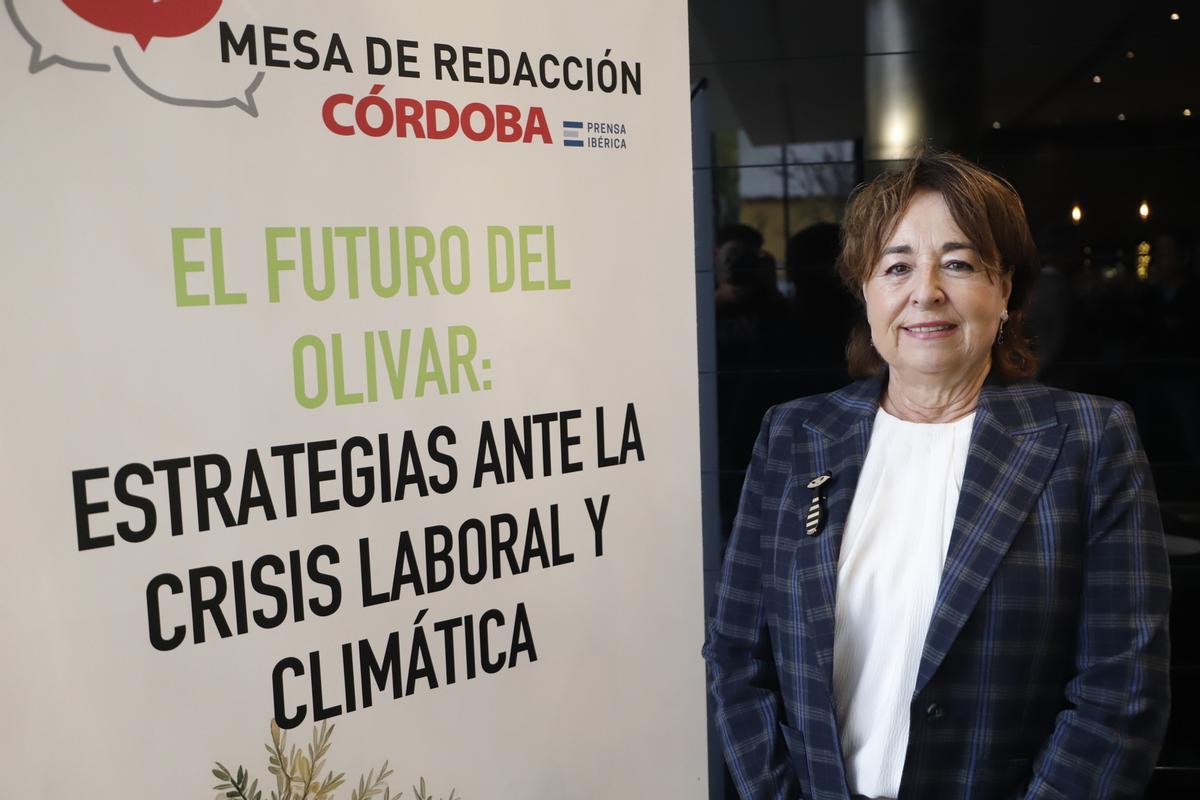 Radiografía del sector oleícola en Córdoba, en imágenes