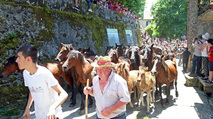 Bravura en Sabucedo