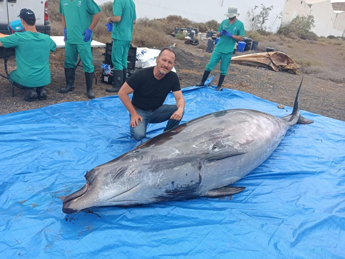 Vidal Martín, este lunes en Caleta de Caballo (municipio de Teguise), junto al  zifio de Blainville hallado muerto en esa costa del oeste de Lanzarote