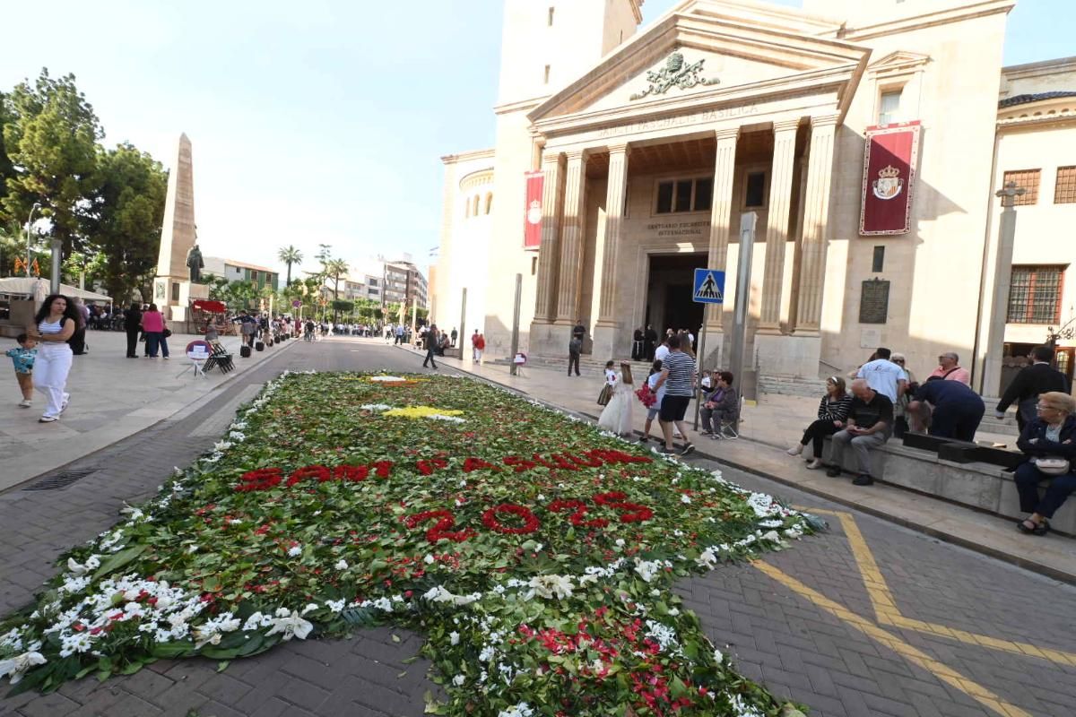 Galería | Procesión de San Pascual