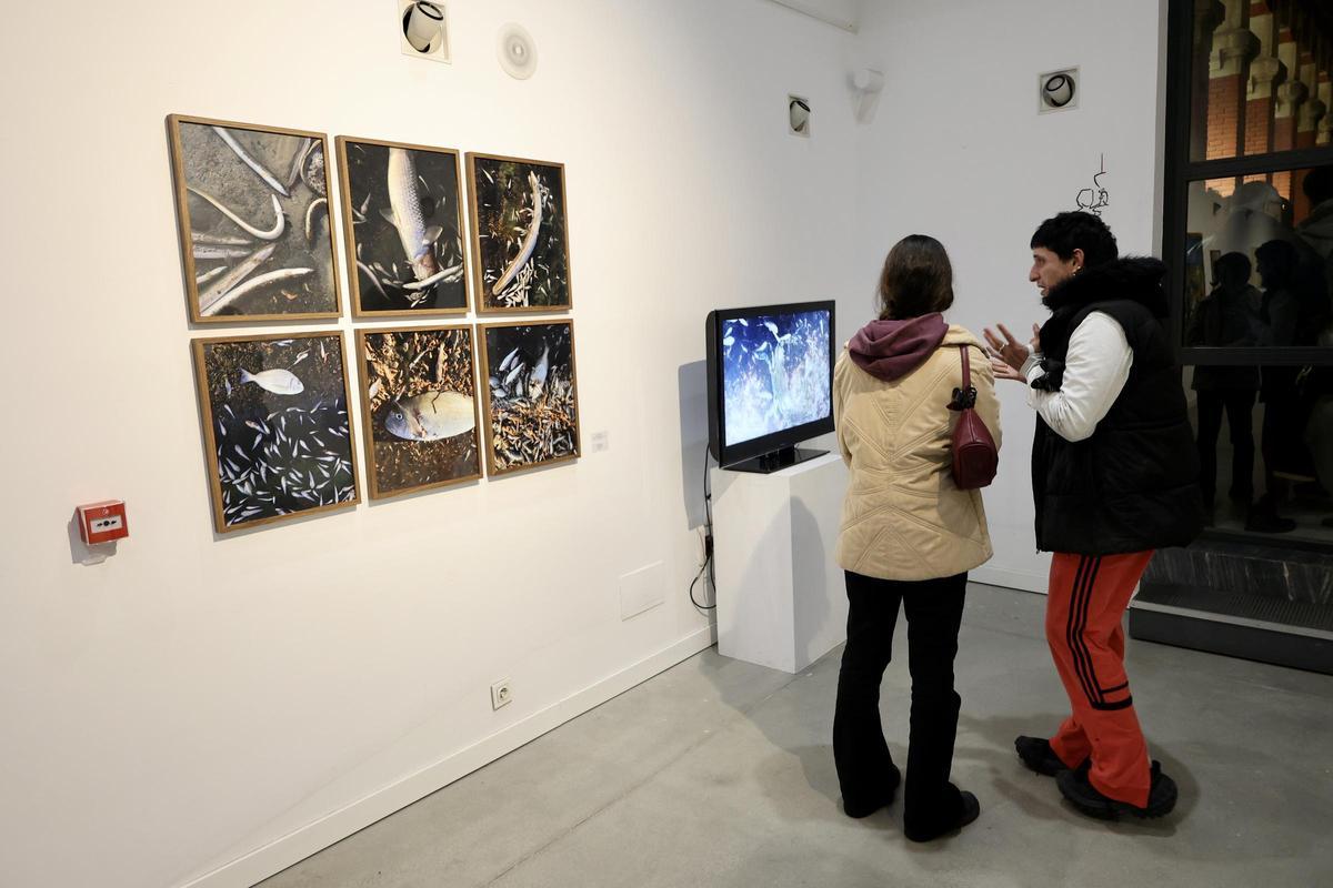 Una muestra expuesta durante la inauguración en la Sala Ángel Imbernón del Museo de la Sangre de Murcia.