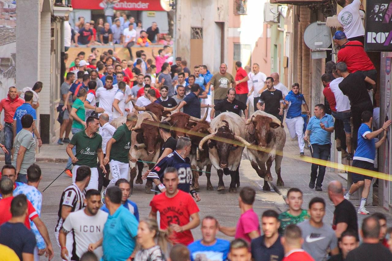 Las mejores imágenes del encierro de  Couto de Fornilhos y Santa Teresa en Onda