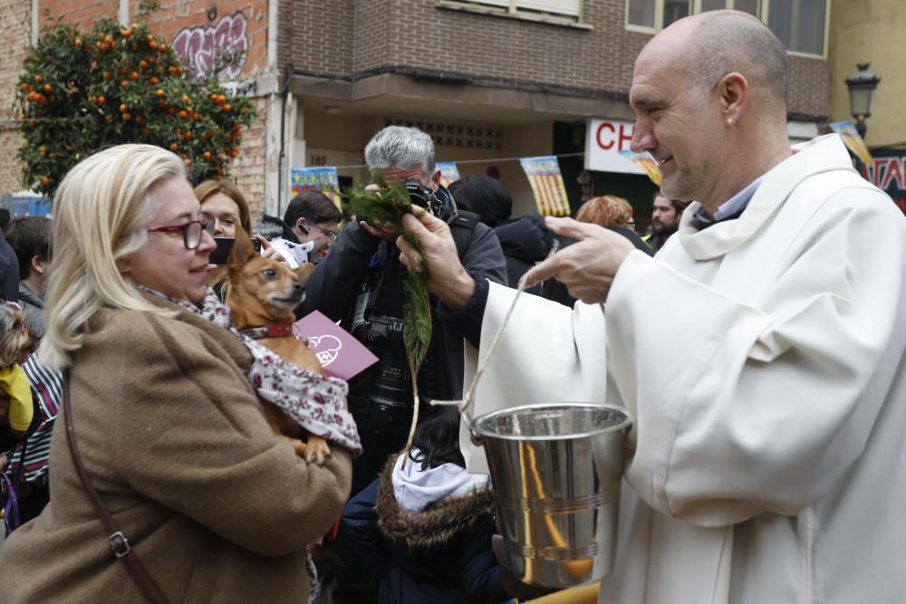 Festividad de Sant Antoni en València