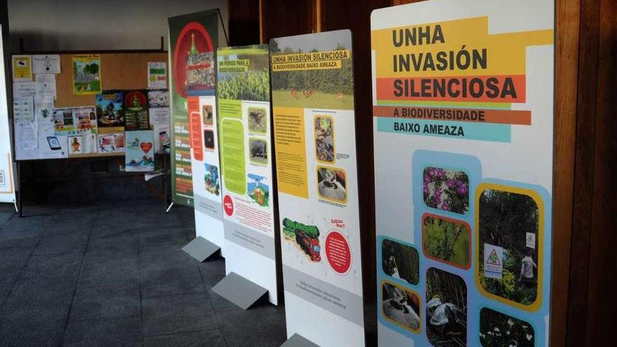 Exposición sobre las plantas invasoras en A Illa de Arousa. // Iñaki Abella