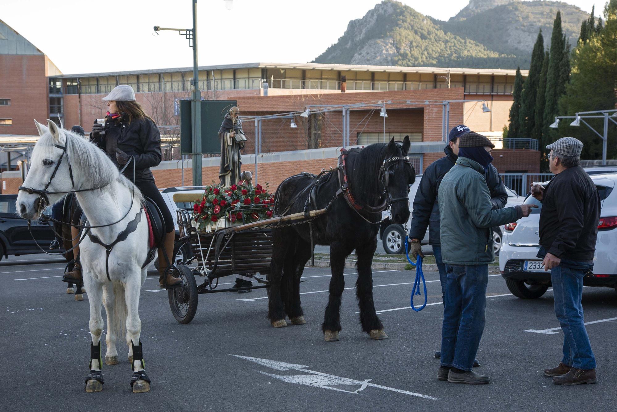 Alcoy vuelve a celebrar la Romería de Sant Antoni