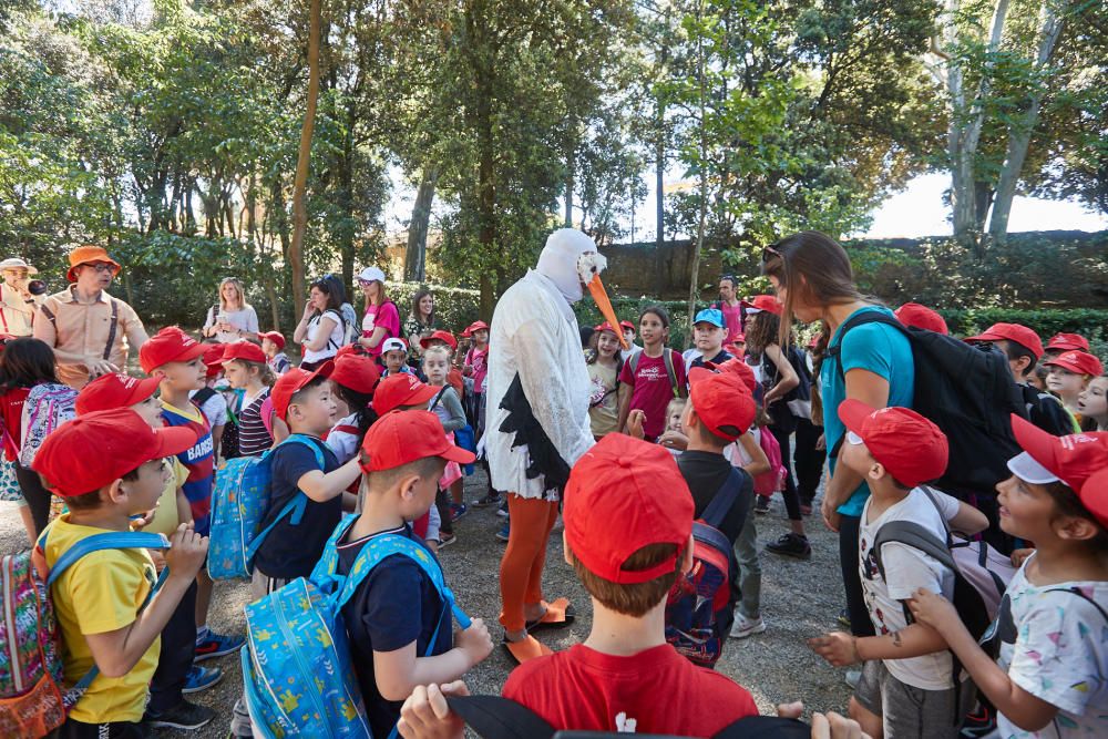 Onze escoles anellen pollets de cigonya al Castell