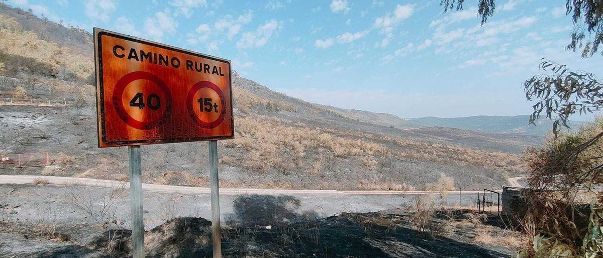 Els incendis remeten a Extremadura després de cremar-se 6.200 hectàrees Els incendis remeten a Extremadura després de cremar-se 6.200 hectàrees