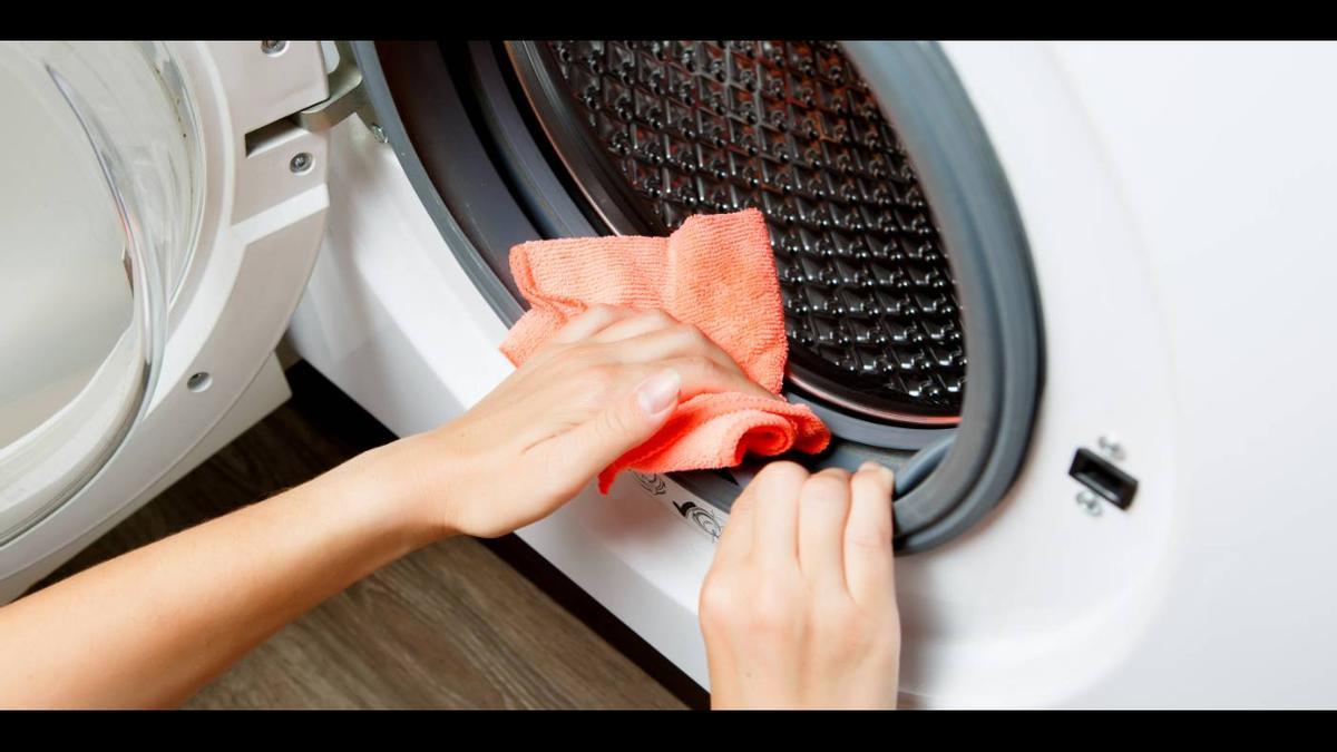 La goma de la lavadora es propensa a acumular residuos de detergente y humedad, lo que puede favorecer el crecimiento de moho.