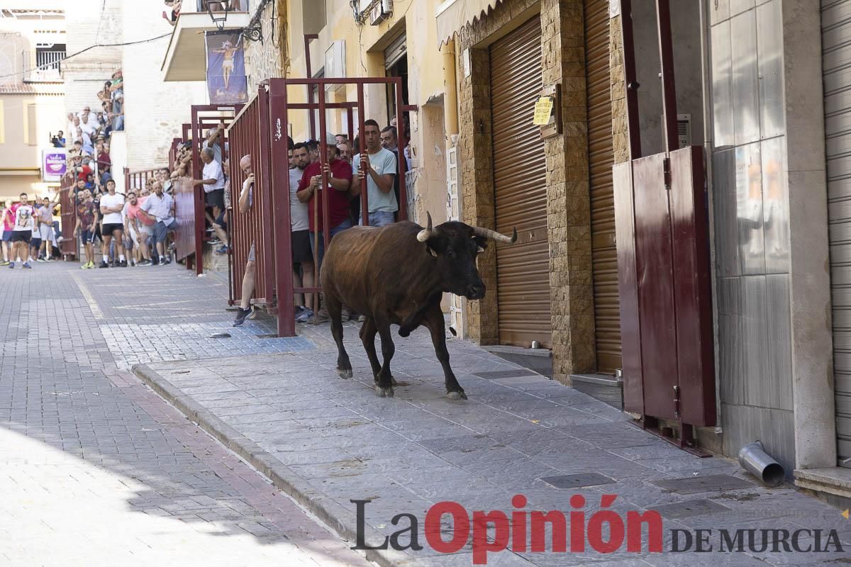 Cuarto encierro en las Fiestas de Moratalla