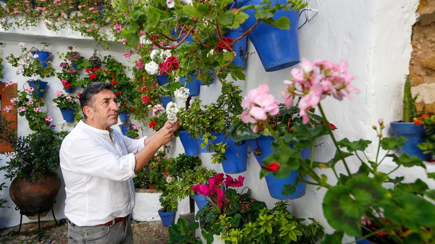 Los patios brotan en Córdoba