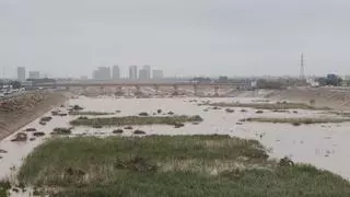 València rebutja la canalització de la Saleta i el Poio fins al nou llit del Túria
