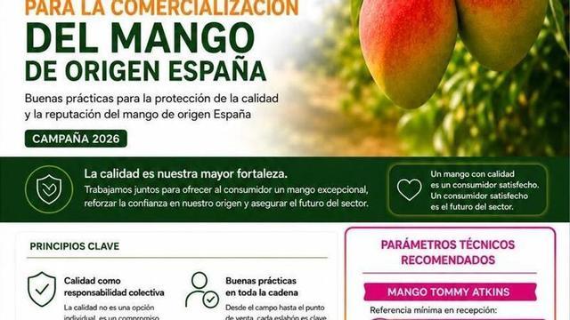 Infografía resumen con los principales parámetros recomendados para la campaña 2026.