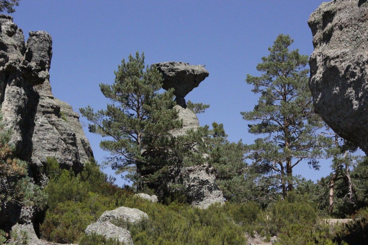 Comarca de Pinares, Burgos