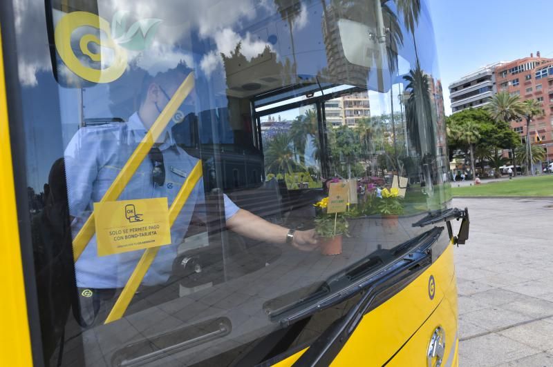Guaguas Municipales renueva su flota de vehículos