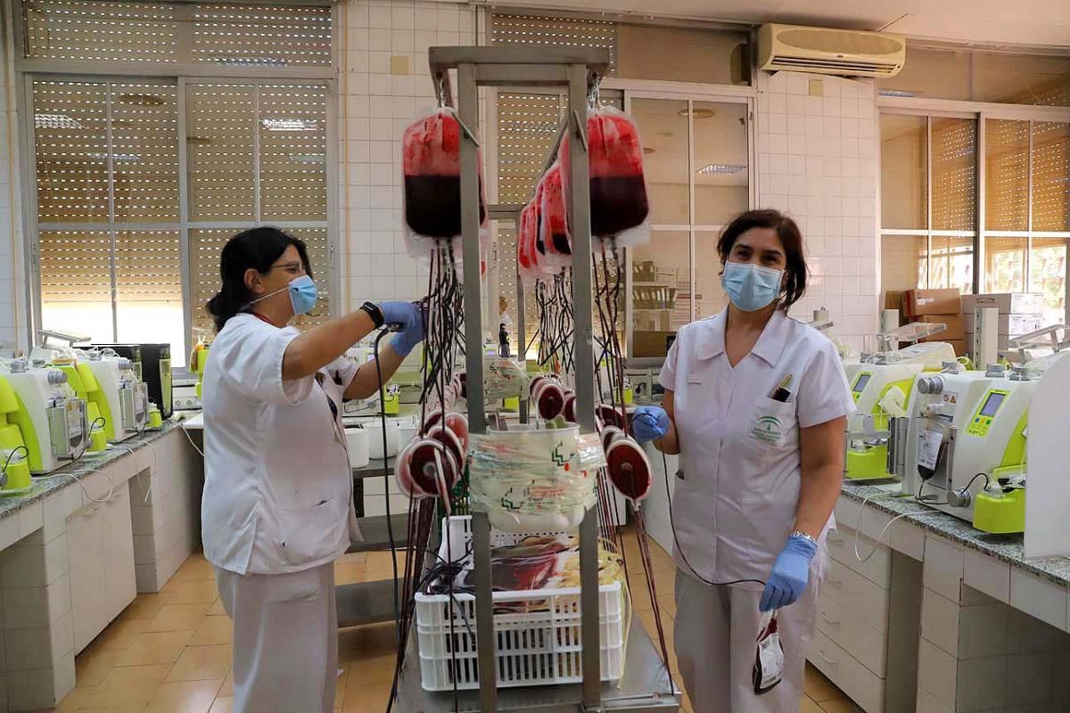 Semana del Donante: campaña especial de donación de sangre y de plasma