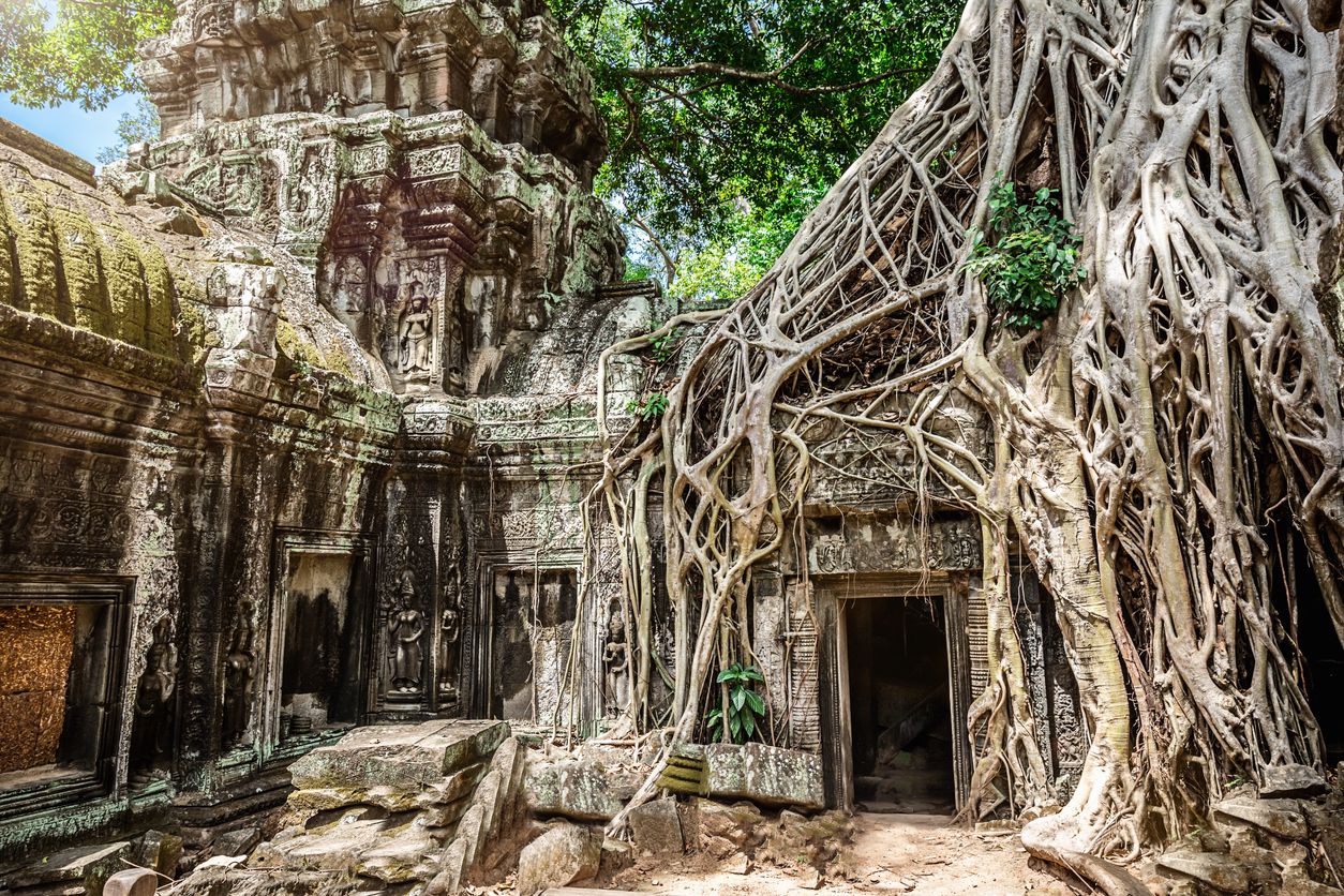 Templo de Ta Prohm, en Cmaboya