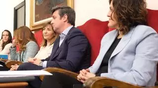 Eva Crisol anuncia por sorpresa que deja su acta de concejal de Cs en Elche