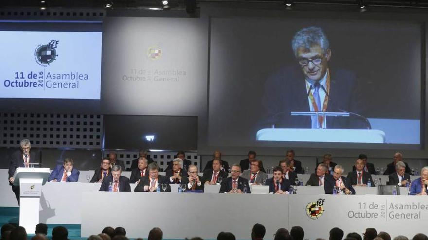 Un momento de la Asamblea General Extraordinaria de la Federación Española de Fútbol.