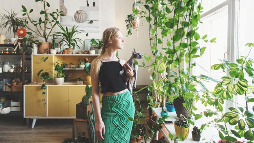 Los maceteros pueden convertir tu salón o habitación en soluciones para la  casa. Tanto para plantas,…