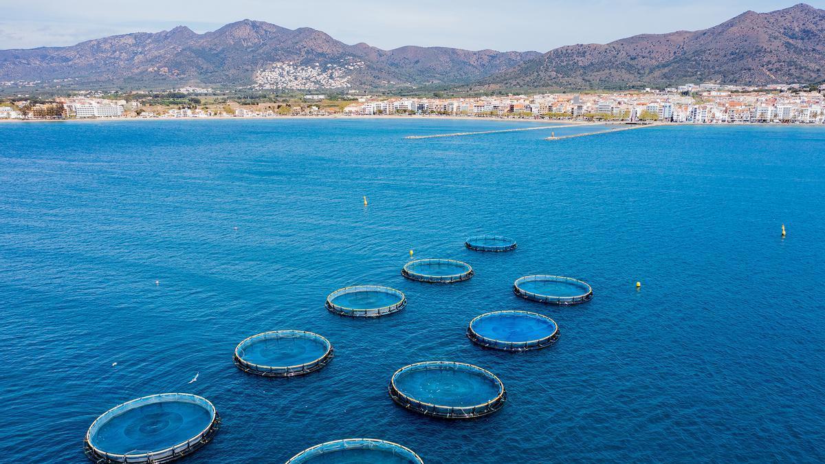 La piscifactoria de Roses.
