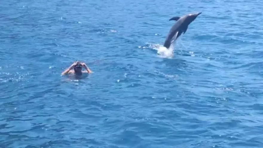 El increíble momento en el que un grupo de delfines juega con unos bañistas en Canarias