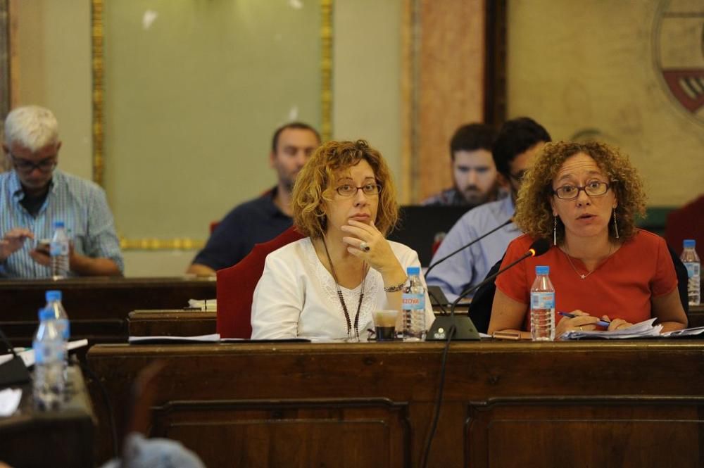 Pleno municipal con protesta