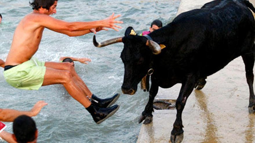 El toro lanza al agua a una persona durante el festejo de &quot;Els bous a la mar&quot; celebrado en la localidad costera de Dénia, una fiesta que se caracteriza por la caída del toro a las aguas del puerto de esta ciudad alicantina.